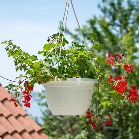 Bellastoria Apartment Dubrownik Zewnętrze zdjęcie